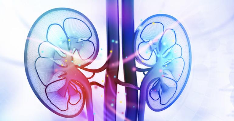 kidney graphics