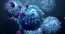 Immunotherapy trends